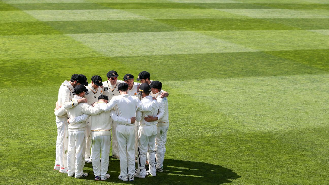 NPL Season 3: 8 Overseas Players Per Squad, DRS Planned